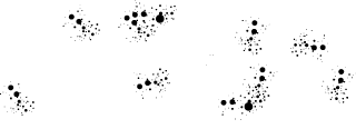 CLOR Logo